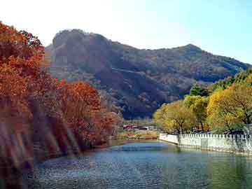 新澳天天开奖资料大全旅游团，大禾寿司